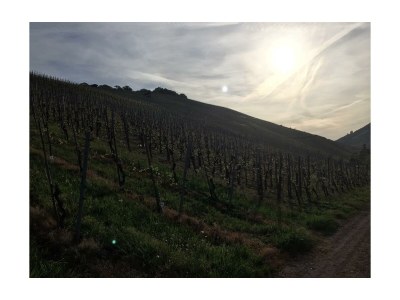 Apartment 2-Bettwohnung - Nr. 3 - Outdoor photo 16