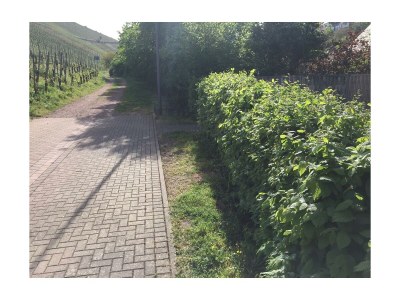 Apartment 2-Bettwohnung - Nr. 3 - Outdoor photo 18