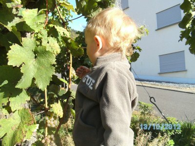 Apartment 2-Bettwohnung   "Rivaner" - Outdoor photo 18