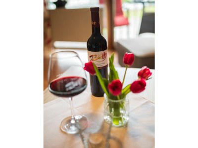 Apartment 2-Bettwohnung   "Rivaner" - Outdoor photo 24