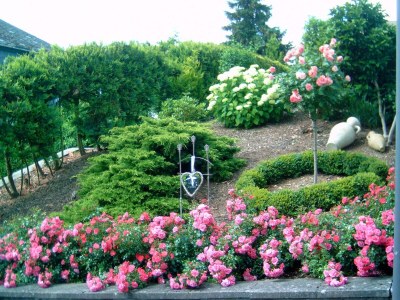 Apartment 2-Bettwohnung   "Rivaner" - Features photo 49