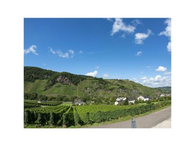 Apartment 2-Bettwohnung - SPÄTBURGUNDER - Outdoor photo 2