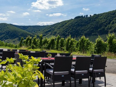 Apartment 2-Bettwohnung - SPÄTBURGUNDER - Outdoor photo 15