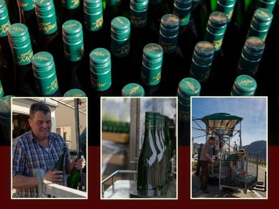 Apartment 2-Bettwohnung - SPÄTBURGUNDER - Outdoor photo 23