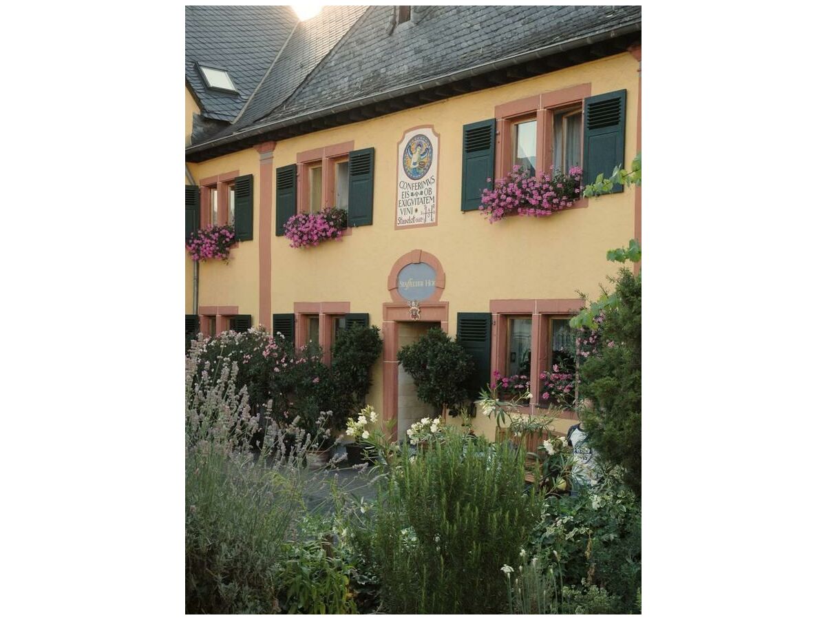 Apartment Tango - Wohnung für 2-4 Personen