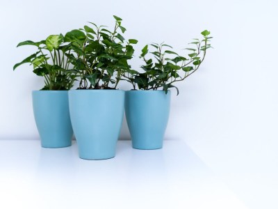 Holiday apartment B & Bernard - Features photo 14