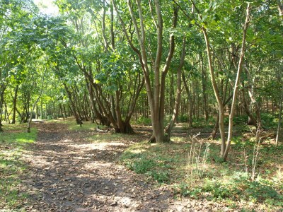 Holiday apartment B & Bernard - Environment photo 19