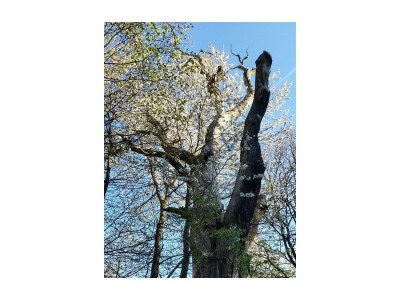 Apartment Appartement/Fewo, Bad, WC, 1 Schlafraum - Outdoor photo 8