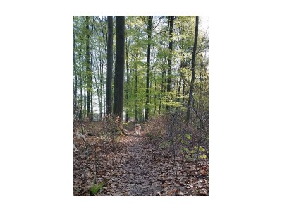 Apartment Appartement/Fewo, Bad, WC, 1 Schlafraum - Outdoor photo 9