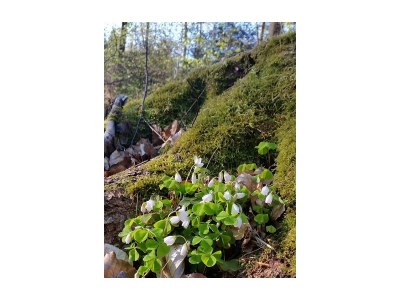 Apartment Appartement/Fewo, Bad, WC, 1 Schlafraum - Outdoor photo 11