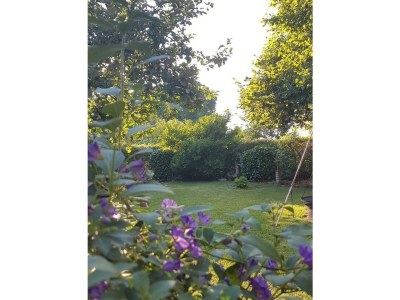 Apartment Appartement/Fewo, Dusche, WC, 1 Schlafraum - Outdoor photo 9