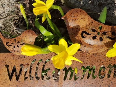 Apartment Appartement/Fewo, Dusche, WC, 1 Schlafraum - Features photo 21