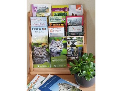 Apartment Appartement/Fewo, Dusche, WC, 1 Schlafraum - Features photo 23