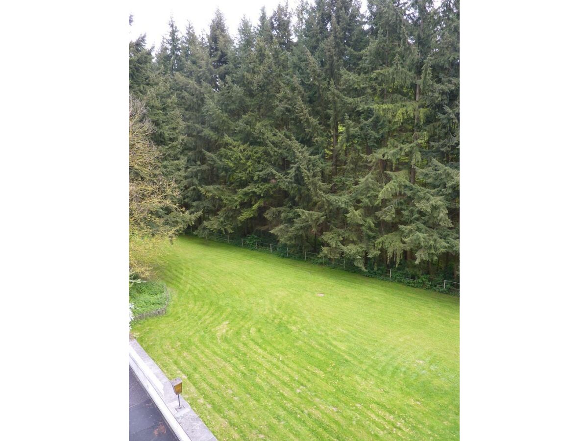 Apartment Holz-Blockhaus - Outdoor photo 3