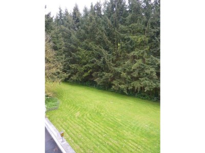 Apartment Holz-Blockhaus - Outdoor photo 3