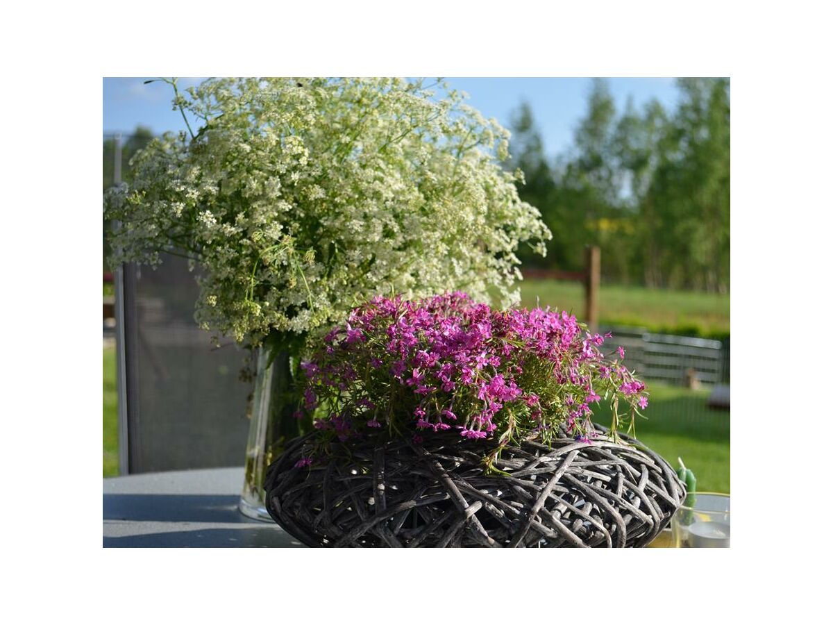 Apartment 2-Bettwohnung - Outdoor photo 5