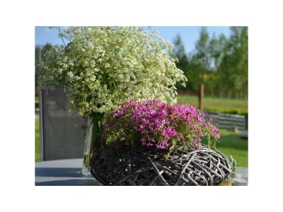 Apartment 2-Bettwohnung - Outdoor photo 5