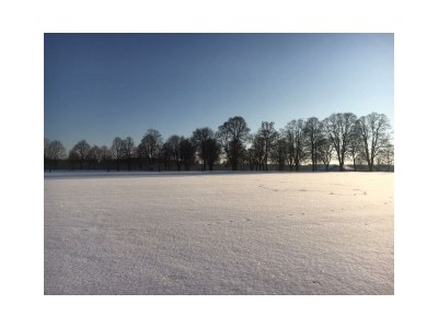 Apartment 2-Bettwohnung - Outdoor photo 9