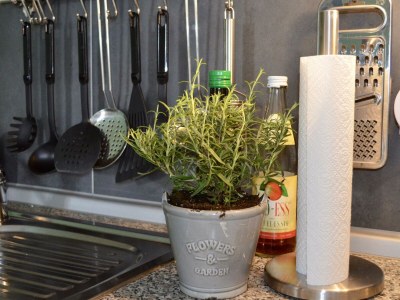 Apartment 2-Bettwohnung - Outdoor photo 18