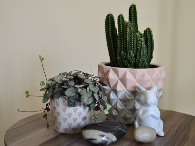 Apartment 2-Bettwohnung - Outdoor photo 22