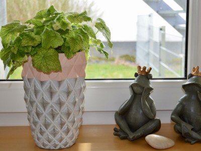 Apartment 2-Bettwohnung - Outdoor photo 28