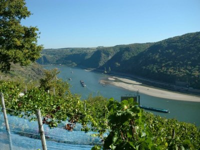 Apartment Ferienhaus, Toilette und Bad/Dusche getrennt, - Outdoor photo 11