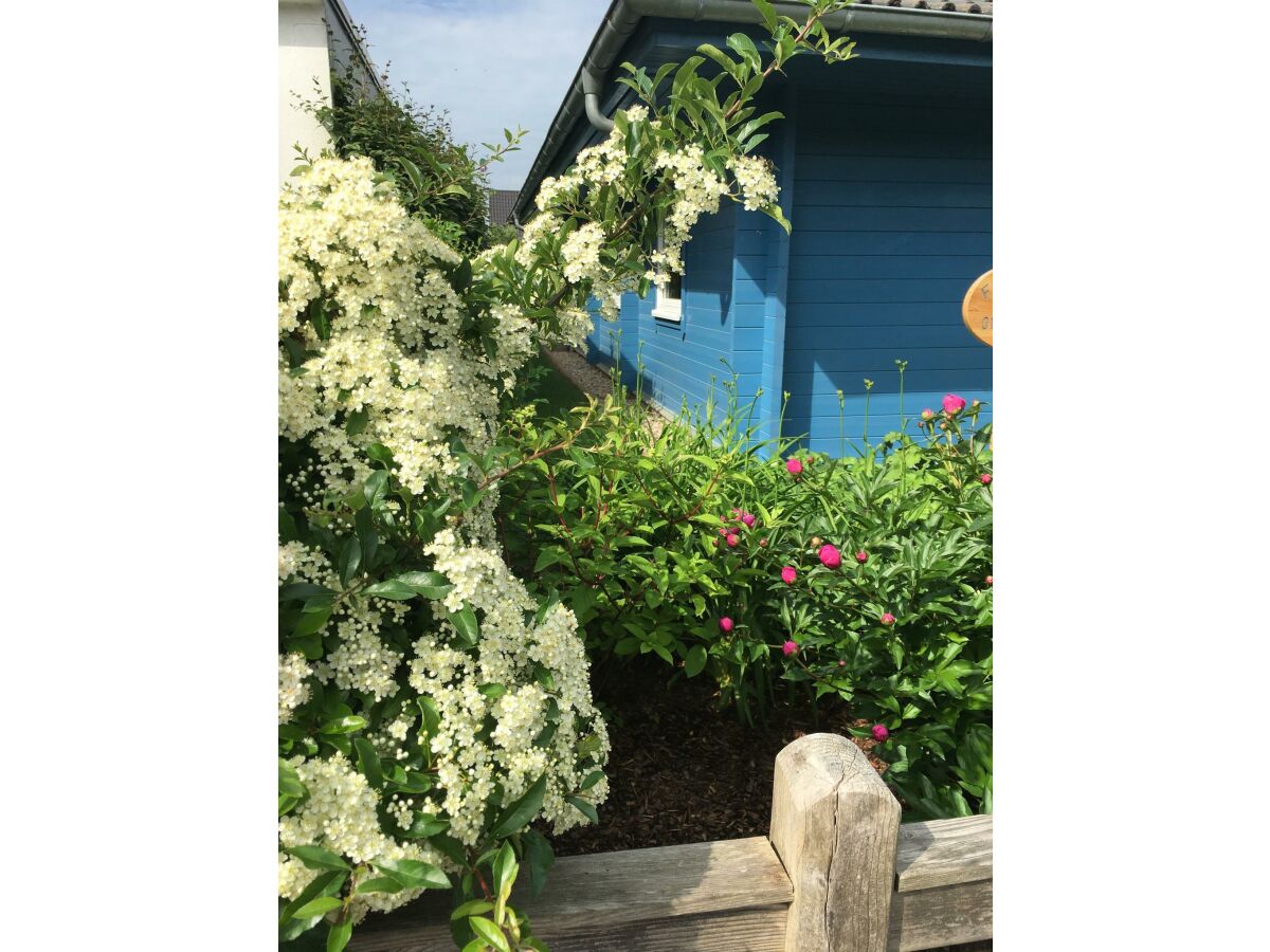 Apartment Ferienhaus, Dusche und Bad, WC, 2 Schlafräume - Outdoor photo 2