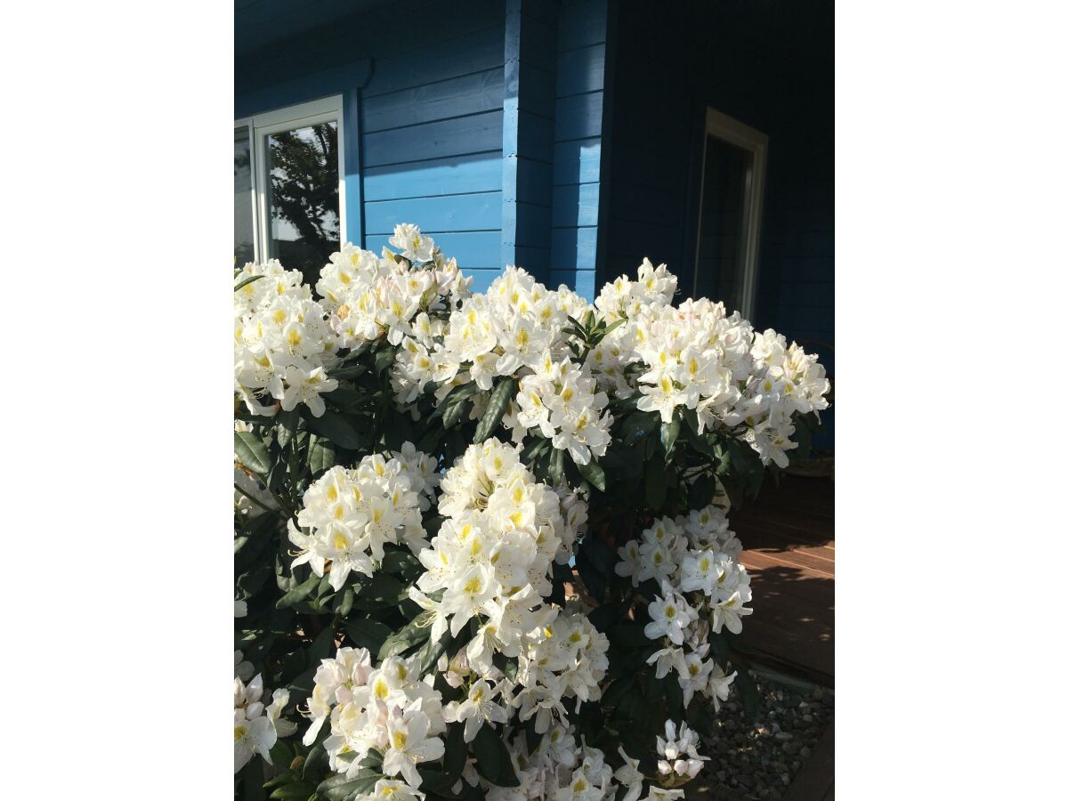 Apartment Ferienhaus, Dusche und Bad, WC, 2 Schlafräume - Outdoor photo 4