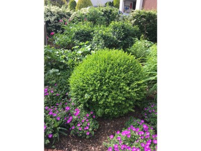 Apartment Ferienhaus, Dusche und Bad, WC, 2 Schlafräume - Outdoor photo 15