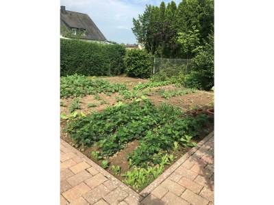 Apartment Ferienhaus, Dusche und Bad, WC, 2 Schlafräume - Outdoor photo 24