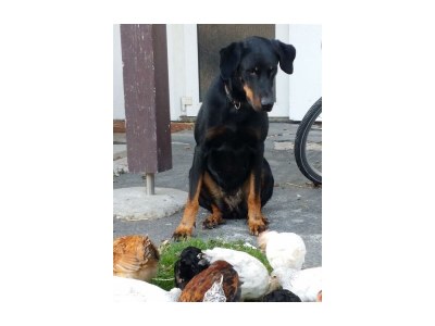 Apartment FeWo "Kleine Linde" - Outdoor photo 3