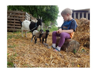 Apartment FeWo "Große Linde" - Outdoor photo 11