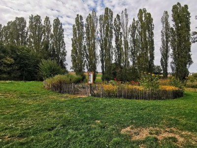 Apartment Ferienhaus, Dusche, WC, Terrasse - Outdoor photo 13