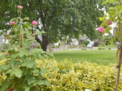 Apartment Ferienhaus, Dusche, WC, Terrasse - Outdoor photo 14