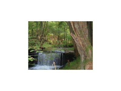 Apartment Haus blau - Outdoor photo 3