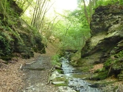 Apartment 5-Bettwohnung in Mannebach - Apartment