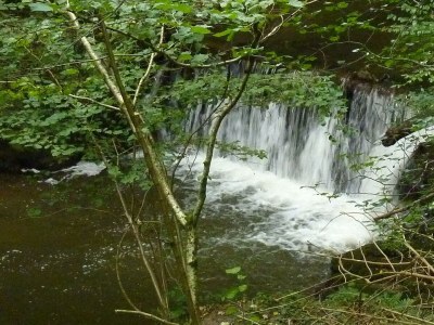 Apartment 5-Bettwohnung - Outdoor photo 2