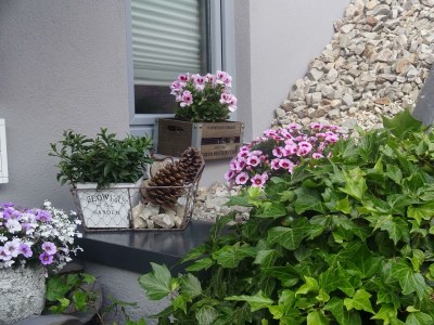 Apartment Appartement/Fewo, Bad, WC, 1 Schlafraum - Outdoor photo 8