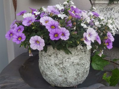 Apartment Appartement/Fewo, Bad, WC, 1 Schlafraum - Outdoor photo 9