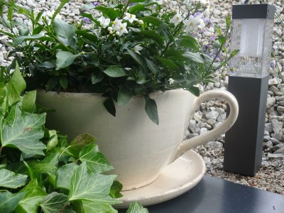 Apartment Appartement/Fewo, Bad, WC, 1 Schlafraum - Outdoor photo 10