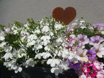 Apartment Appartement/Fewo, Bad, WC, 1 Schlafraum - Outdoor photo 11