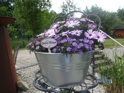 Apartment Appartement/Fewo, Bad, WC, 1 Schlafraum - Outdoor photo 13