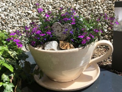 Apartment Appartement/Fewo, Bad, WC, 1 Schlafraum - Outdoor photo 17