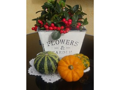 Apartment Appartement/Fewo, Bad, WC, 1 Schlafraum - Outdoor photo 18