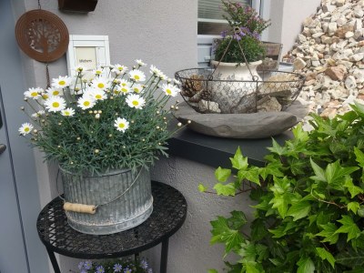 Apartment Appartement/Fewo, Bad, WC, 1 Schlafraum - Outdoor photo 23