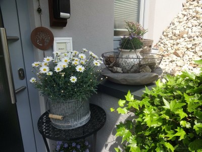 Apartment Appartement/Fewo, Bad, WC, 1 Schlafraum - Outdoor photo 27