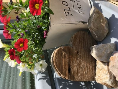 Apartment Appartement/Fewo, Bad, WC, 1 Schlafraum - Outdoor photo 36