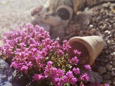 Apartment Appartement/Fewo, Bad, WC, 1 Schlafraum - Outdoor photo 42