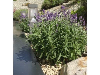 Apartment Appartement/Fewo, Bad, WC, 1 Schlafraum - Outdoor photo 44