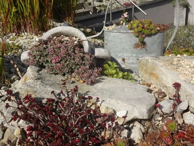 Apartment Appartement/Fewo, Bad, WC, 1 Schlafraum - Outdoor photo 46